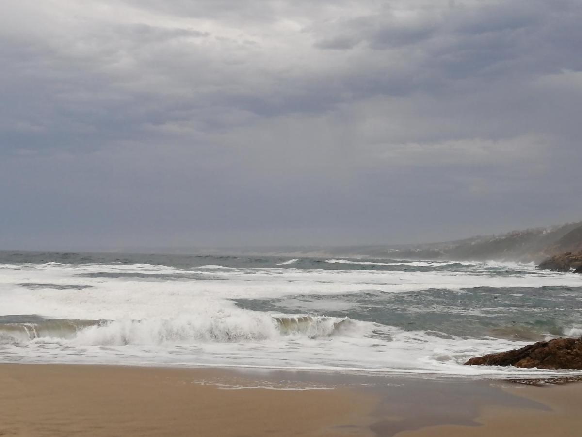 Ocean Room @ 66 Fynbos 莫塞尔湾 外观 照片